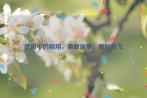 逆风中的翱翔，勇敢追梦，展翅高飞